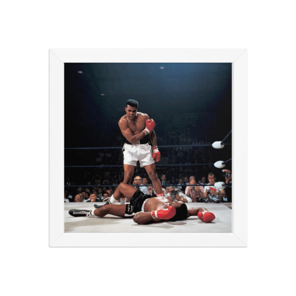 poster premium encadré poster premium encadré