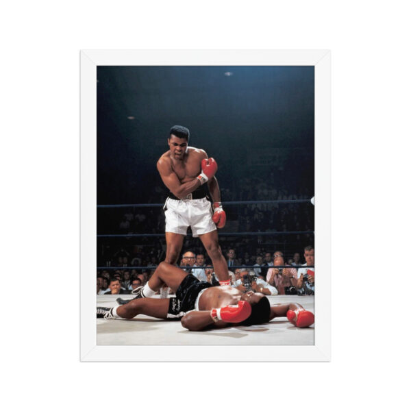 poster premium encadré poster premium encadré