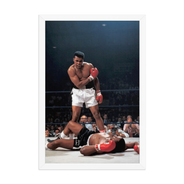 poster premium encadré poster premium encadré