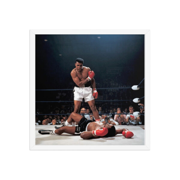 poster premium encadré poster premium encadré